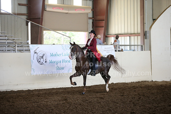 MLMH_2018_6095