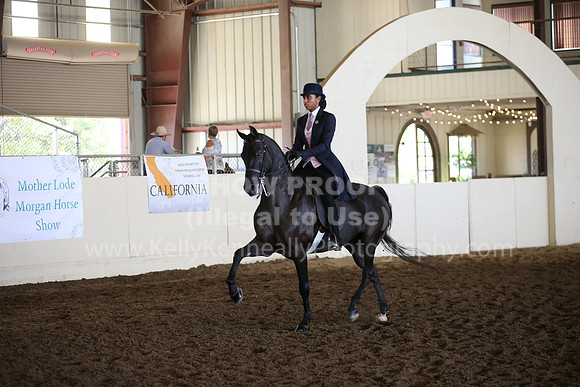 MLMH_2018_6099