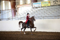 MLMH_2018_6105