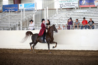 MLMH_2018_6107