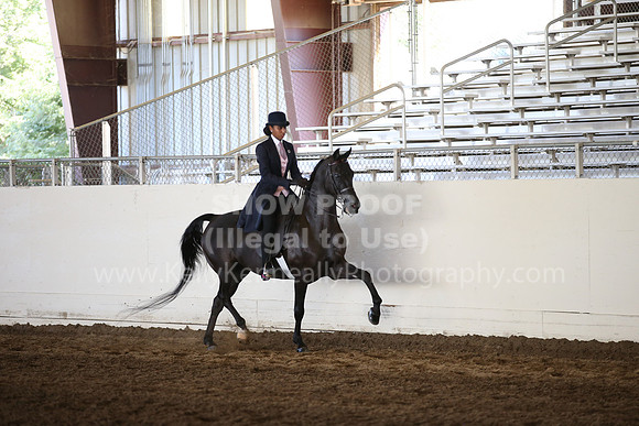 MLMH_2018_6110