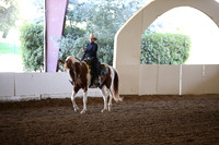 MLMH_2018_6133