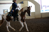 MLMH_2018_6141