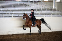 MLMH_2018_6169