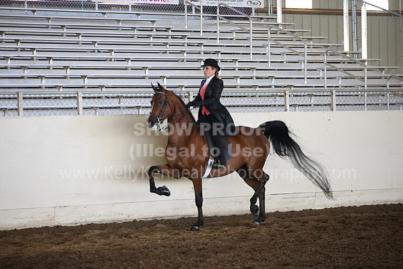 MLMH_2018_6169