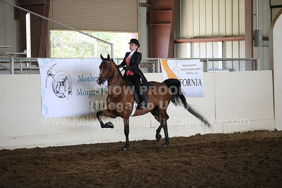 MLMH_2018_6178