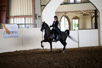 MLMH_2018_6183