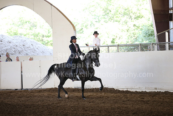 MLMH_2018_6195