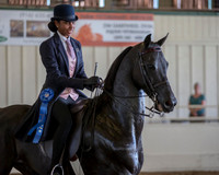 MLMH_2018_6198