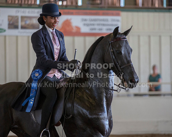 MLMH_2018_6198
