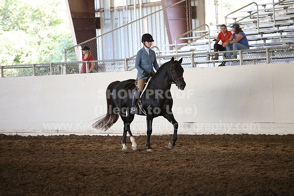 MLMH_2018_6225