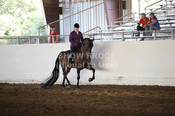MLMH_2018_6231