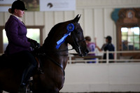 MLMH_2018_6234
