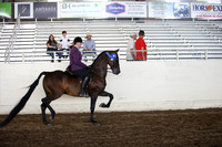 MLMH_2018_6243