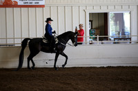 MLMH_2018_3169