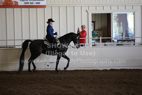 MLMH_2018_3169