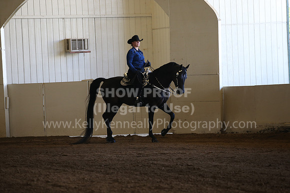 MLMH_2018_3172