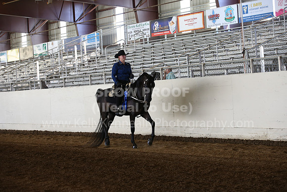 MLMH_2018_3183