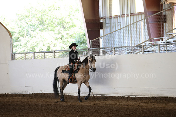 MLMH_2018_3205