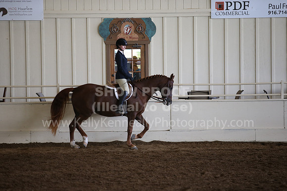 MLMH_2018_3235