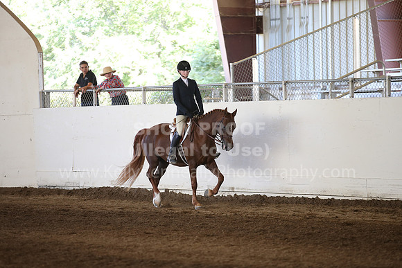 MLMH_2018_3242