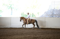 MLMH_2018_3263