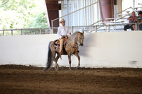 MLMH_2018_3275