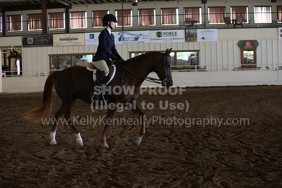 MLMH_2018_3316