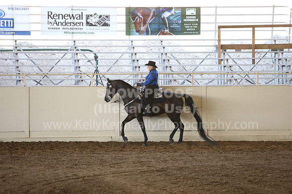 MLMH_2018_3361