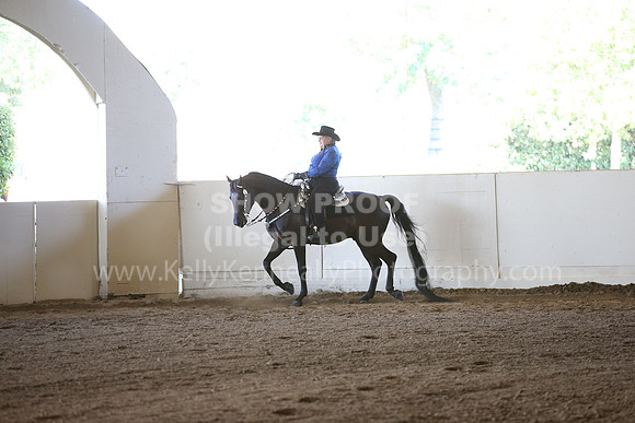 MLMH_2018_3366