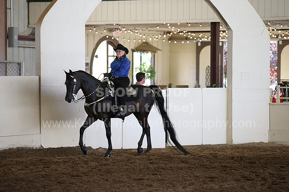 MLMH_2018_3378