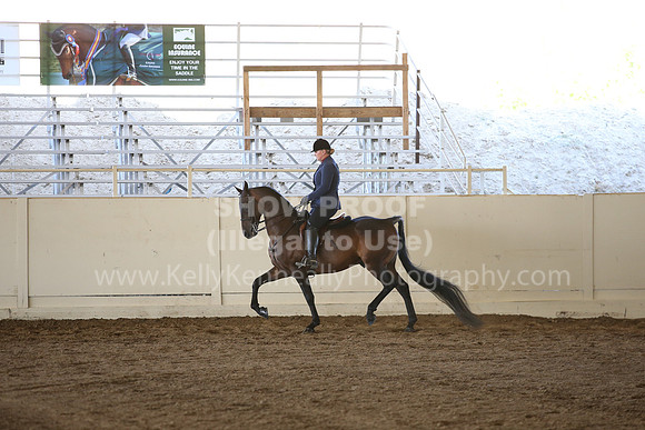 MLMH_2018_3403