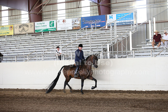 MLMH_2018_3433