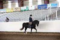MLMH_2018_3437