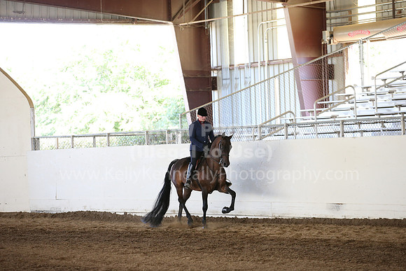 MLMH_2018_3443