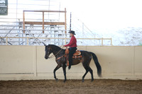 Class 114 Morgan Western Pl Limit Horse