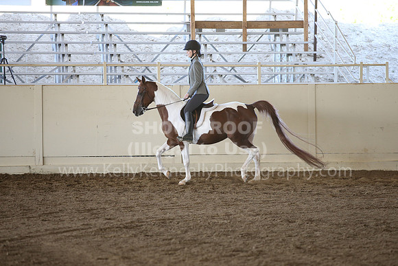 MLMH_2018_3475