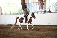 MLMH_2018_3485