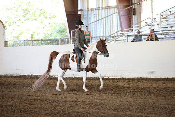 MLMH_2018_3485
