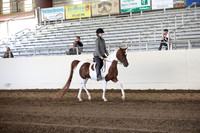 MLMH_2018_3486