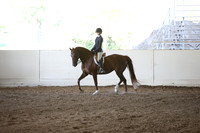 MLMH_2018_3566