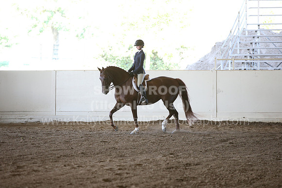 MLMH_2018_3566