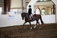 MLMH_2018_3570