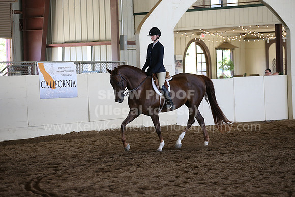 MLMH_2018_3570