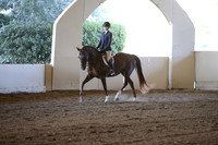 MLMH_2018_3568