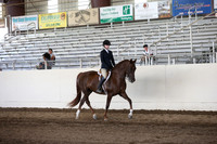 MLMH_2018_3575