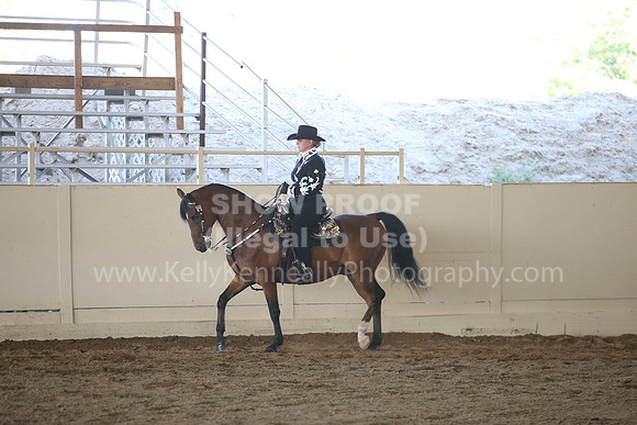 MLMH_2018_3595