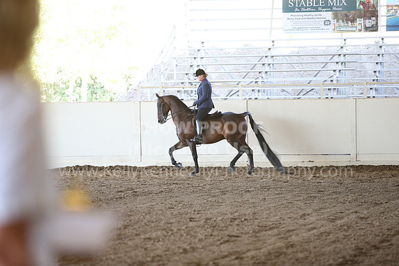 MLMH_2018_3688