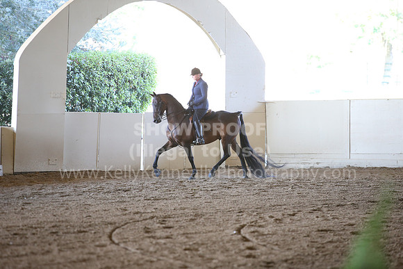 MLMH_2018_3689