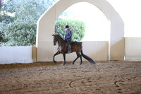 MLMH_2018_3690